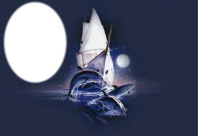 Dauphins au clair de lune - 1 photo ovale Montaje fotografico