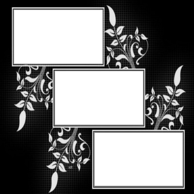 collage, 3 fotos, fondo negro y flores. Photo frame effect