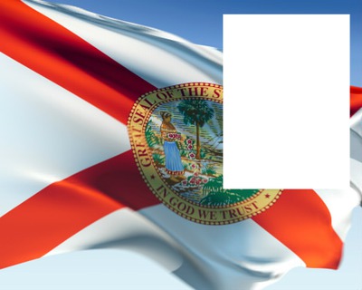 Florida flag Fotomontasje
