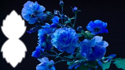 flowers blue フォトモンタージュ