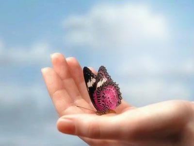 бабочка Фотомонтаж