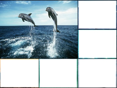 dauphins laly Fotomontage