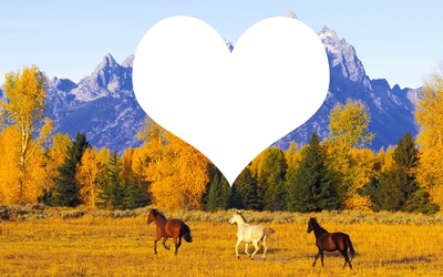 Forêt et chevaux Montaje fotografico