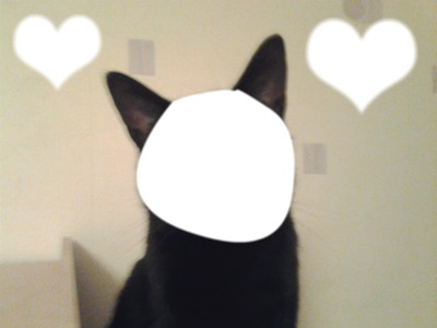 Le chat Love Photo frame effect