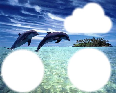 dauphins Fotomontažas