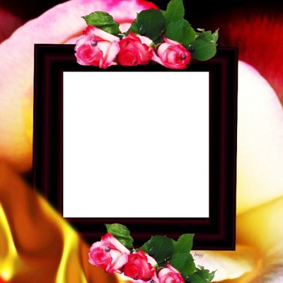 Shelina02 rosa Photo frame effect