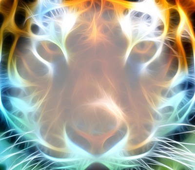 tigre Photomontage