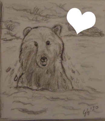 l'ours dessin fait par Gino GIBILARO Photo frame effect