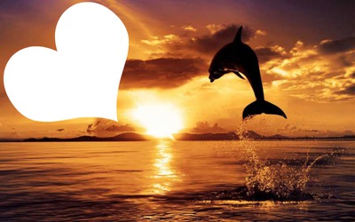 dolphin Fotomontagem
