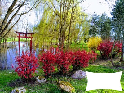 jardin japonais lac Montage photo