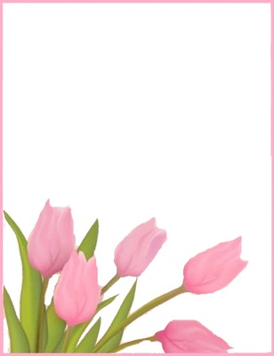 tulipanes rosados. Photomontage