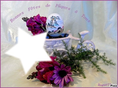 Beautée des fleurs* Fotoğraf editörü