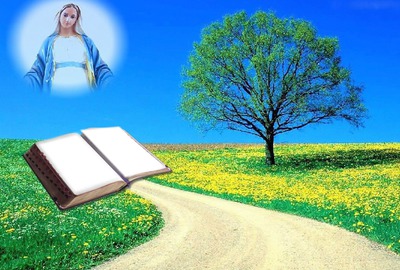 biblia Fotomontaż