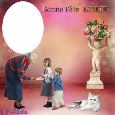 Bonne Fête Mamie Photo frame effect