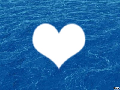 coeur de mer Montaje fotografico