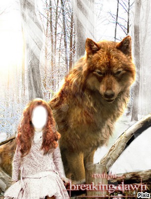 jacob wolf Fotomontage