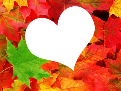 fall love Fotomontage
