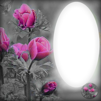 Fleurs Fotomontáž