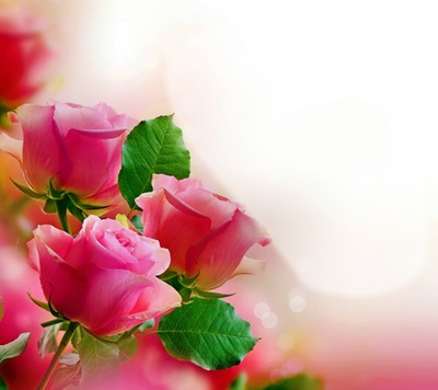 Rosen für dich Fotomontagem