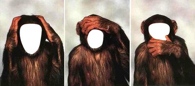 les 3 singes Fotomontaggio
