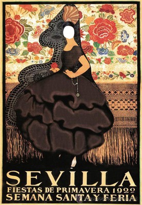 flamenco Montaje fotografico