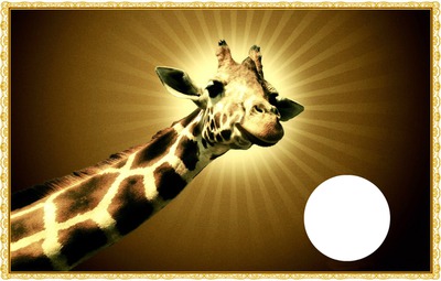 girafe Fotomontagem