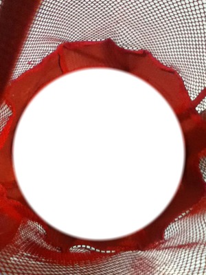 coussin rond rouge Montage photo