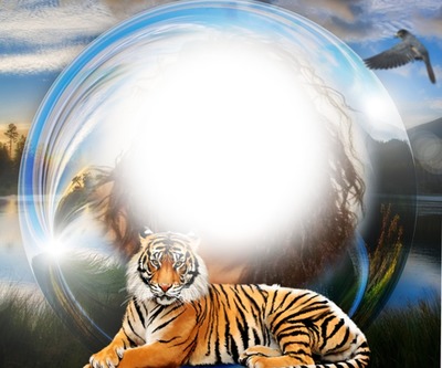Sfera tigre Fotomontaż