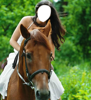 caballo Montaje fotografico