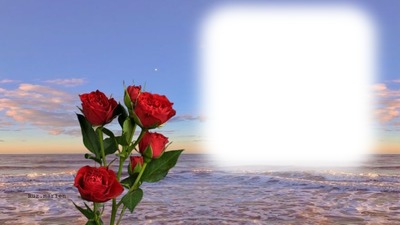 flores de playa Photomontage