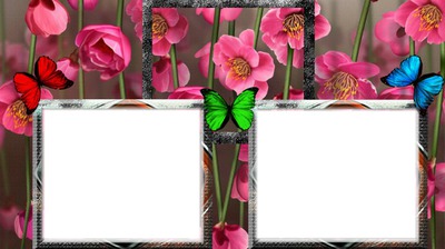 cadre fleurs papillons Montaje fotografico