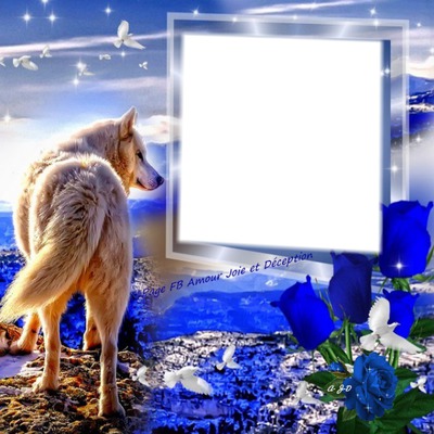 cadre loup Photo frame effect