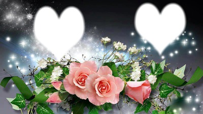 coeur roses Photo frame effect