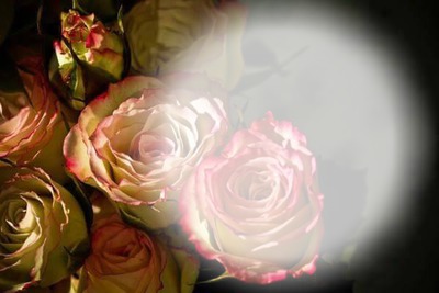 vieilles roses Fotomontáž