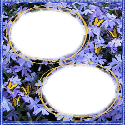 2 photos fleurs papillons iena Photo frame effect
