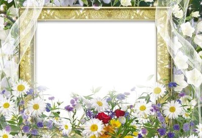 daisy frame Fotomontage
