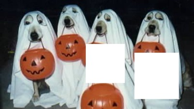 halloween Fotomontasje
