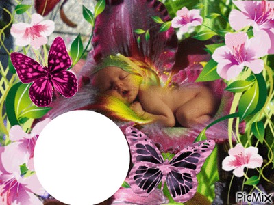 cadre fleur lys bébé dort Montaje fotografico