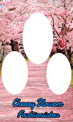 Cherry Blossom Photo frame effect