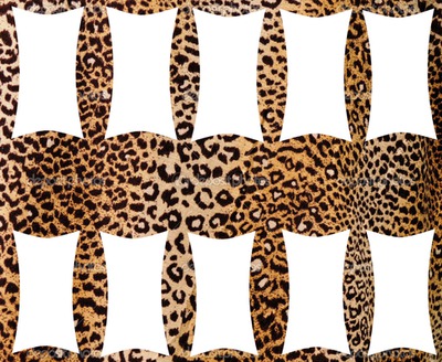 leopard Fotomontāža