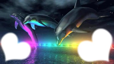 dauphins romu Valokuvamontaasi