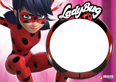 Lady bug Photomontage
