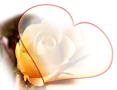 ein Herz mitten in einer Rose Fotomontasje