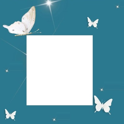 marco y mariposas blancas. Fotomontáž
