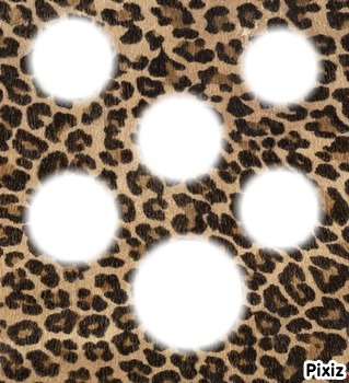 leopard Photomontage