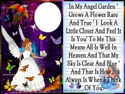 in my angel garden Photo frame effect