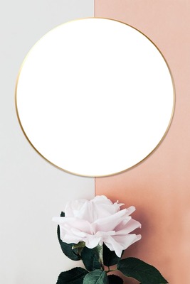 marco circular y rosa rosada. Photo frame effect