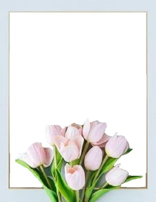 tulipanes rosados. Montaje fotografico