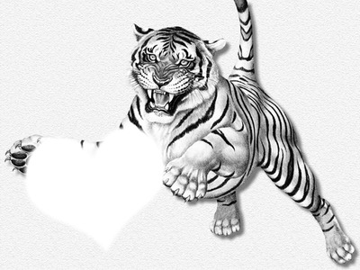 Tigre Montaje fotografico