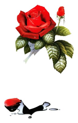 laly rose rouge0 Fotomontāža